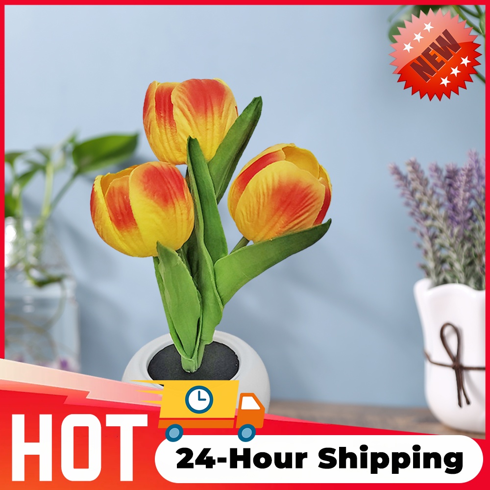 LED-Tulpenlampe, romantische N – Wedding Led Bewertung und Preis